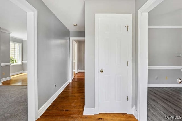 7700 Secretariat Dr, Midlothian, VA 23112 - photo 28