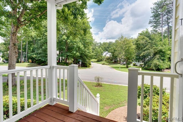 7700 Secretariat Dr, Midlothian, VA 23112 - photo 42