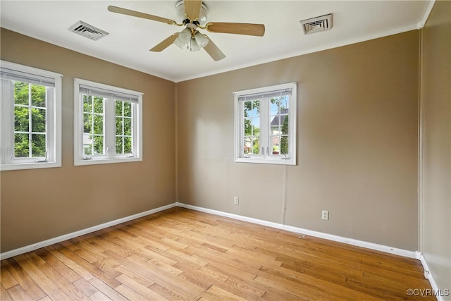 703 Irving St, Farmville, VA 23901 - photo 16