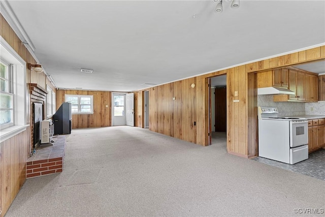 285 Jennings Ordinary Rd, Crewe, VA 23930 - unfurnished living room featuring wooden walls, carpet flooring, and a wood stove