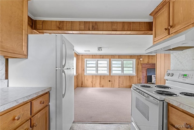 285 Jennings Ordinary Rd, Crewe, VA 23930 - kitchen featuring white appliances, wood walls, under cabinet range hood, light countertops, and carpet flooring