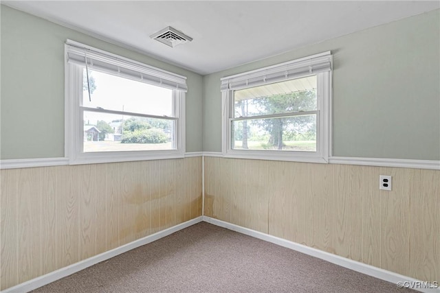 285 Jennings Ordinary Rd, Crewe, VA 23930 - empty room featuring a wainscoted wall, carpet floors, and wood walls