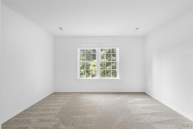 11900 Mill Cross Ter, Glen Allen, VA 23059 - photo 22