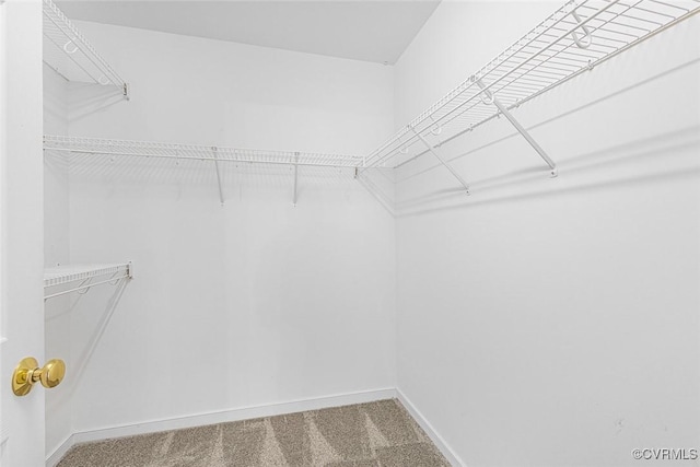 11900 Mill Cross Ter, Glen Allen, VA 23059 - photo 24