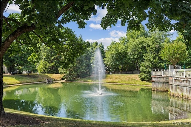 8256 Greystone W Cir, Henrico, VA 23229 - water view