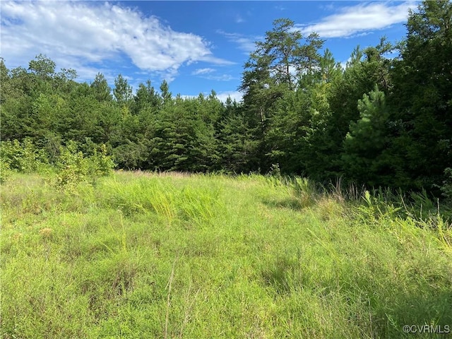 0 Springfield Rd, Goochland, VA 23063 - photo 2