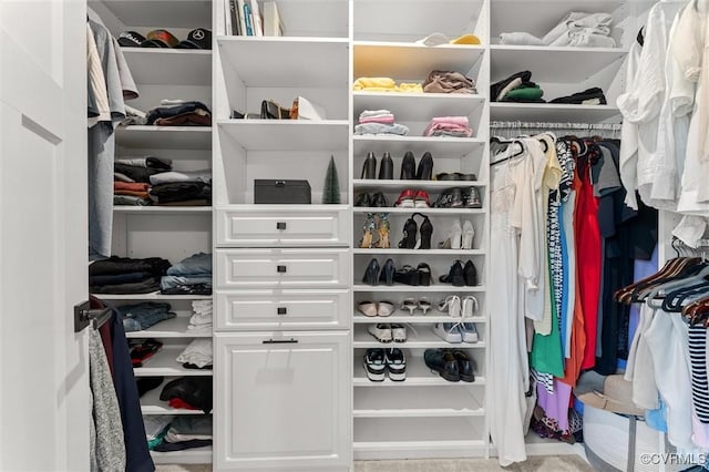 2133 Cantina Ln, Midlothian, VA 23114 - view of walk in closet