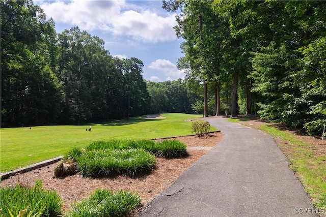 3207 Quail Hill Dr, Midlothian, VA 23112 - photo 37