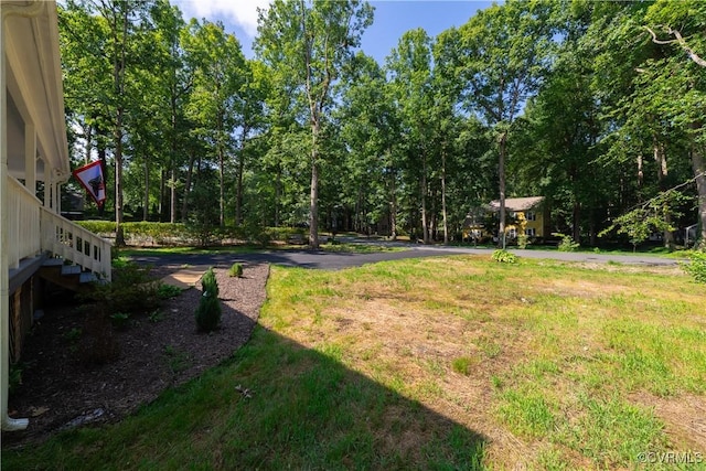 3207 Quail Hill Dr, Midlothian, VA 23112 - photo 39