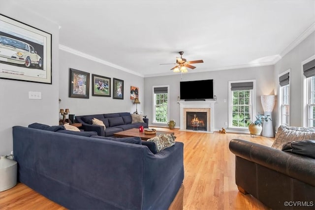 24000 Pear Orchard Rd, Moseley, VA 23120 - living area featuring light wood-type flooring, a ceiling fan, ornamental molding, and a fireplace with flush hearth