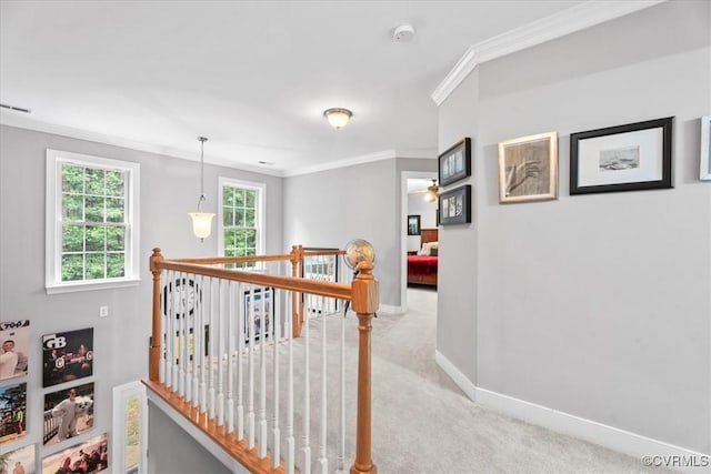 24000 Pear Orchard Rd, Moseley, VA 23120 - hallway featuring an upstairs landing, ornamental molding, and carpet