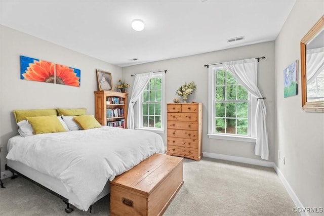 24000 Pear Orchard Rd, Moseley, VA 23120 - bedroom featuring multiple windows and light colored carpet