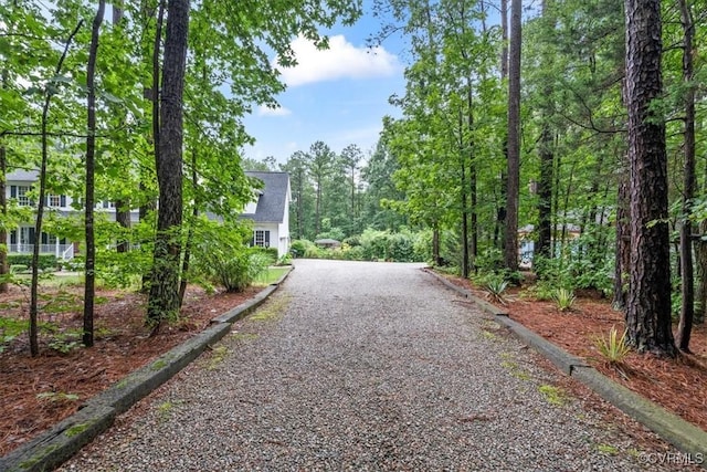 24000 Pear Orchard Rd, Moseley, VA 23120 - view of property's community with gravel driveway