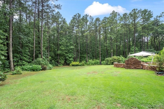 24000 Pear Orchard Rd, Moseley, VA 23120 - view of grassy yard featuring a wooded view