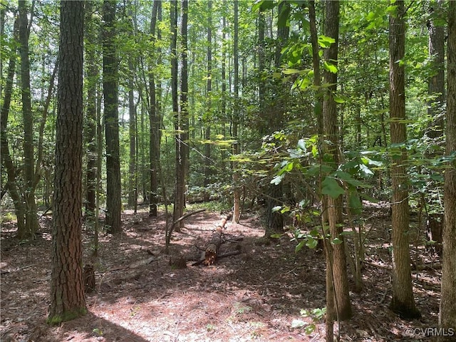 00 New Kent Hwy, New Kent, VA 23089