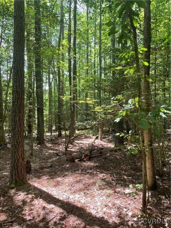 00 New Kent Hwy, New Kent, VA 23089