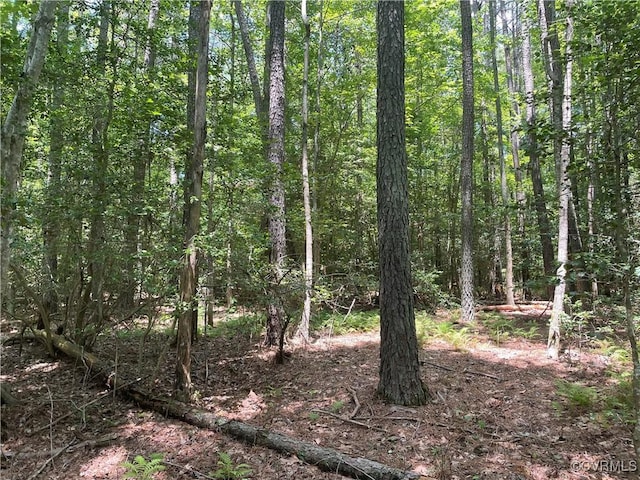 00 New Kent Hwy, New Kent, VA 23089
