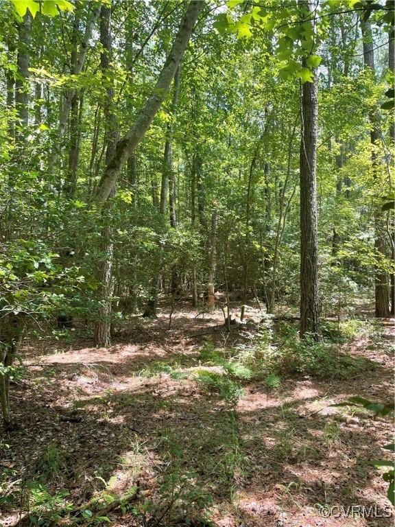 00 New Kent Hwy, New Kent, VA 23089