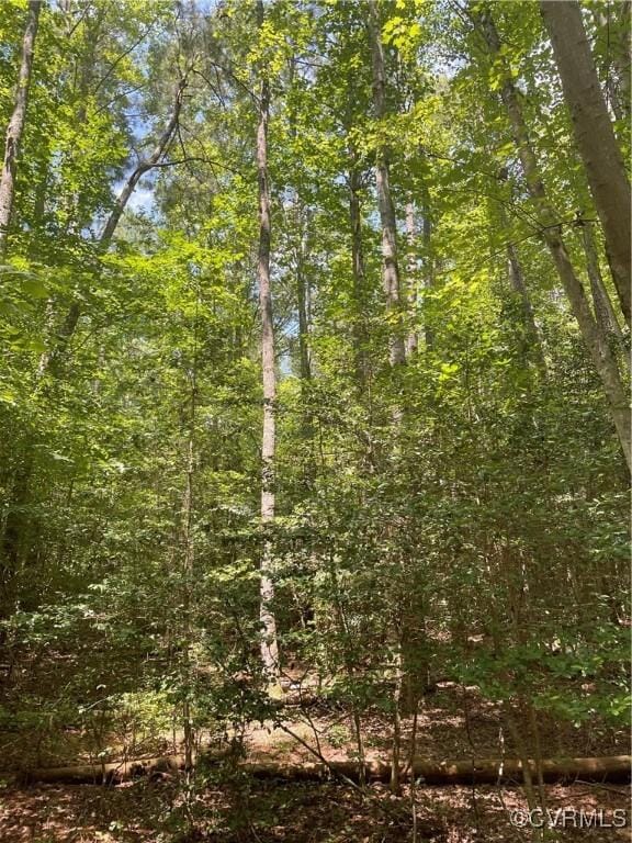 00 New Kent Hwy, New Kent, VA 23089