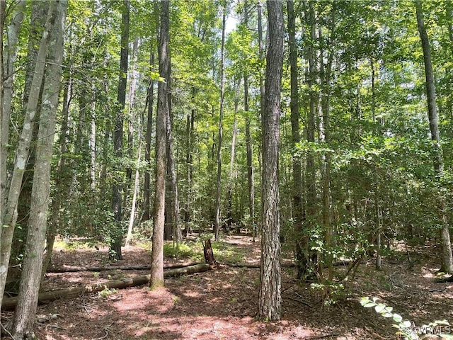 00 New Kent Hwy, New Kent, VA 23089
