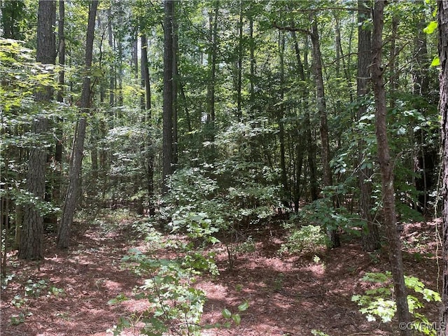 00 New Kent Hwy, New Kent, VA 23089