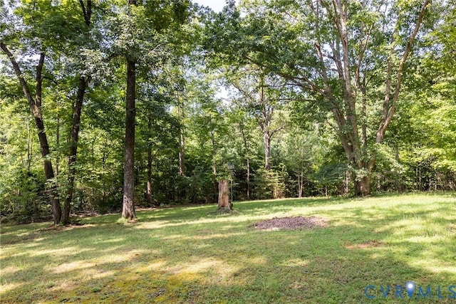 11766 Five Forks Rd, Farmville, VA 23901 - photo 45