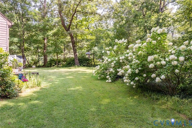 11766 Five Forks Rd, Farmville, VA 23901 - photo 40