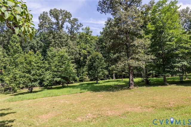 11766 Five Forks Rd, Farmville, VA 23901 - photo 41
