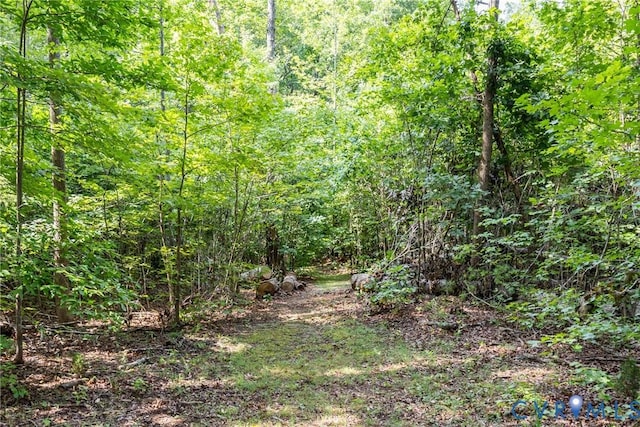 11766 Five Forks Rd, Farmville, VA 23901 - photo 42