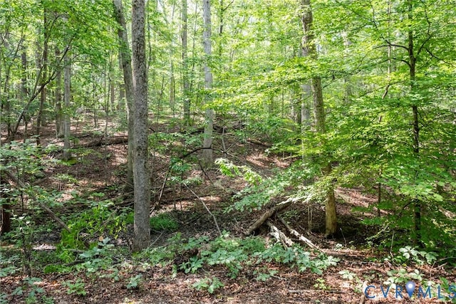 11766 Five Forks Rd, Farmville, VA 23901 - photo 43