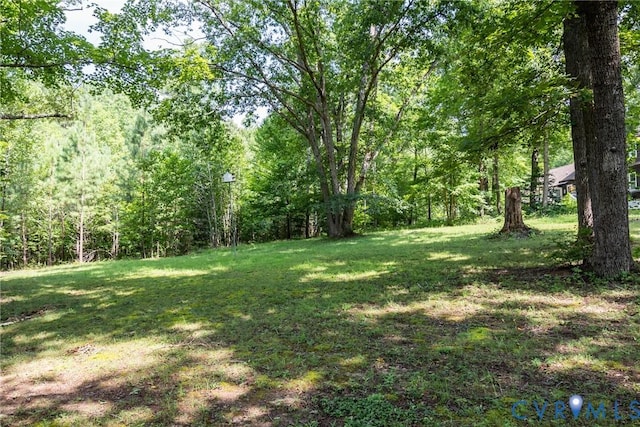 11766 Five Forks Rd, Farmville, VA 23901 - photo 44