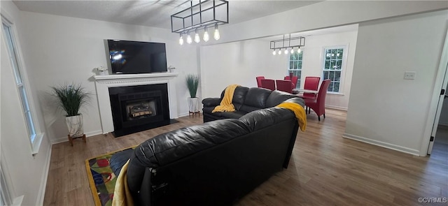 7464 Dutch Lily Ct, Mechanicsville, VA 23111 - living room with wood finished floors and a fireplace with flush hearth