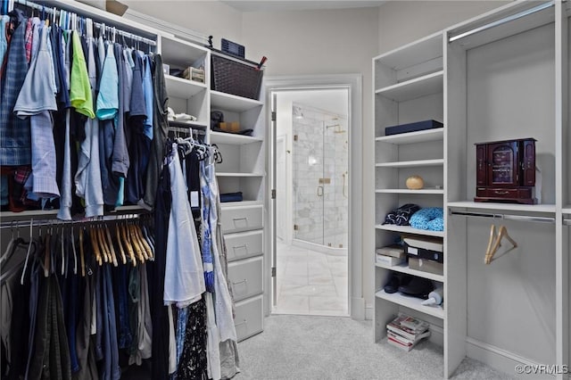 3808 Solebury Pl, Midlothian, VA 23113 - walk in closet with carpet flooring