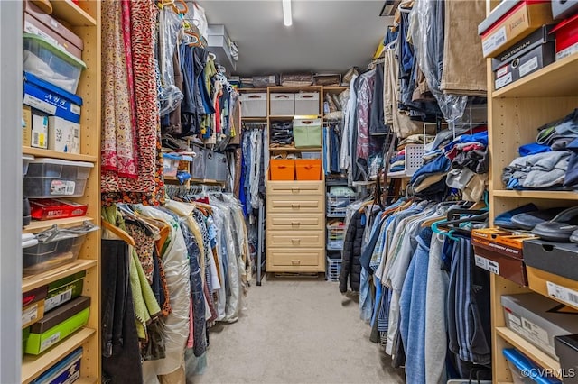 3541 Kings Farm Dr, Midlothian, VA 23113 - spacious closet featuring carpet floors