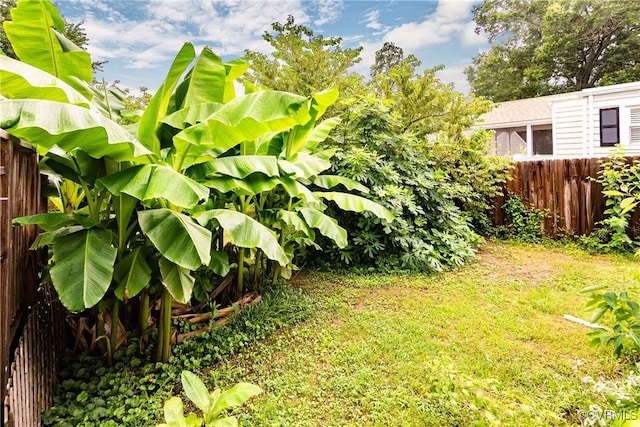 2711 Maplewood Rd, Henrico, VA 23228 - view of yard