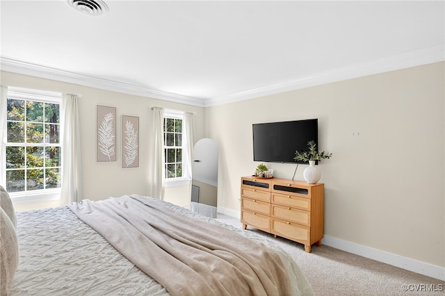 3921 Timber Ridge Rd, Midlothian, VA 23112 - photo 24