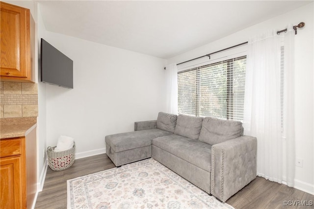 1501 Largo Rd Unit 302, Henrico, VA 23238 - living area with light wood-type flooring