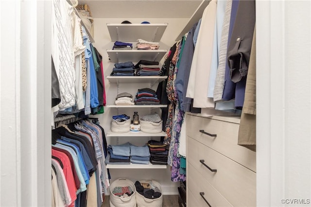 1501 Largo Rd Unit 302, Henrico, VA 23238 - view of walk in closet