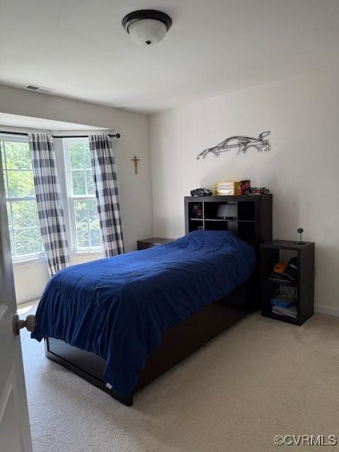 17037 Windon Ct, Moseley, VA 23120 - view of carpeted bedroom