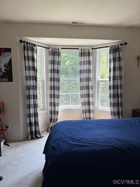 17037 Windon Ct, Moseley, VA 23120 - bedroom featuring carpet floors and baseboards