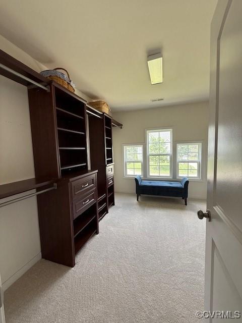 17037 Windon Ct, Moseley, VA 23120 - spacious closet with light carpet