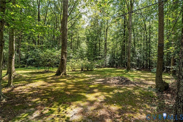 77 Go Away Ln, Hartfield, VA 23071 - photo 48