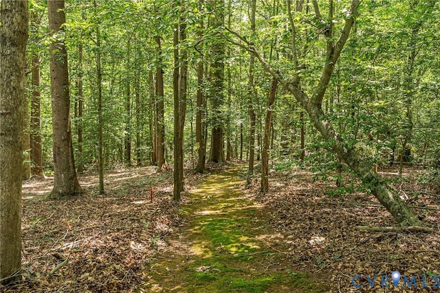 77 Go Away Ln, Hartfield, VA 23071 - photo 44