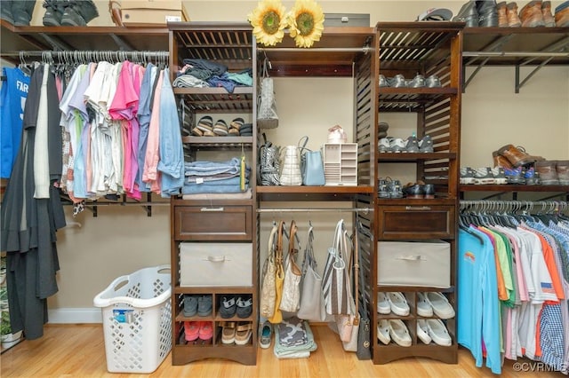 4837 Glenmorgan Ct, Chester, VA 23831 - walk in closet with wood finished floors