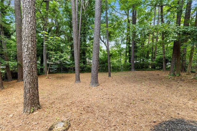 5564 Heatherhill Dr, North Chesterfield, VA 23234 - view of nature