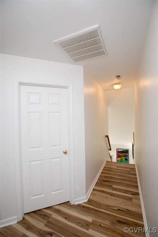 107 Cabells Ct, Farmville, VA 23901 - photo 41