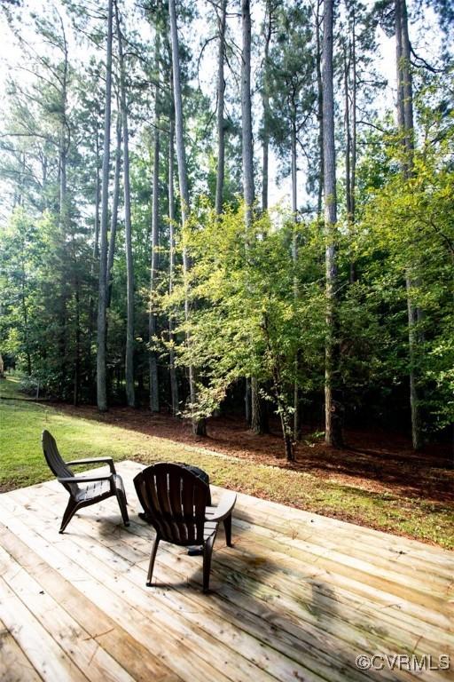 107 Cabells Ct, Farmville, VA 23901 - photo 46