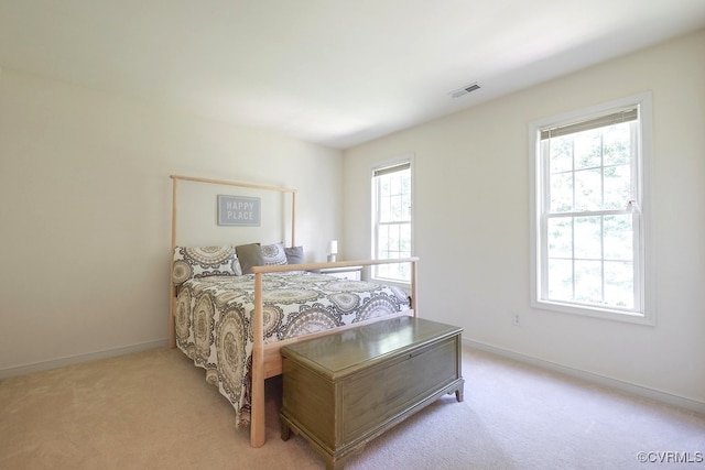 5636 Charter Oak Dr, Chesterfield, VA 23832 - bedroom featuring light colored carpet