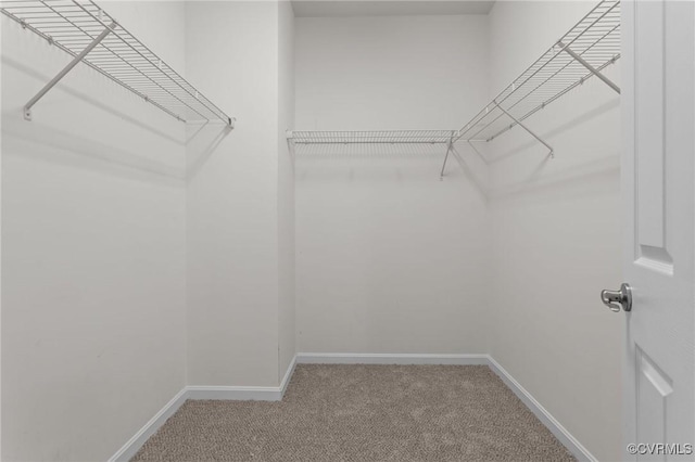 8334 E Lord Botetourt Loop, New Kent, VA 23124 - walk in closet featuring carpet