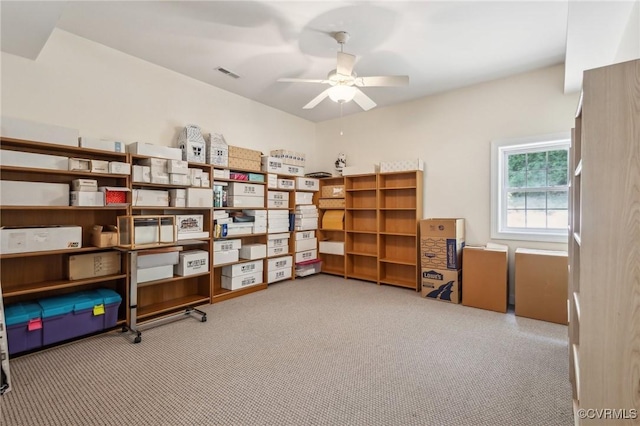 6002 Prospectors Bluff Ln, Mechanicsville, VA 23116 - storage featuring ceiling fan